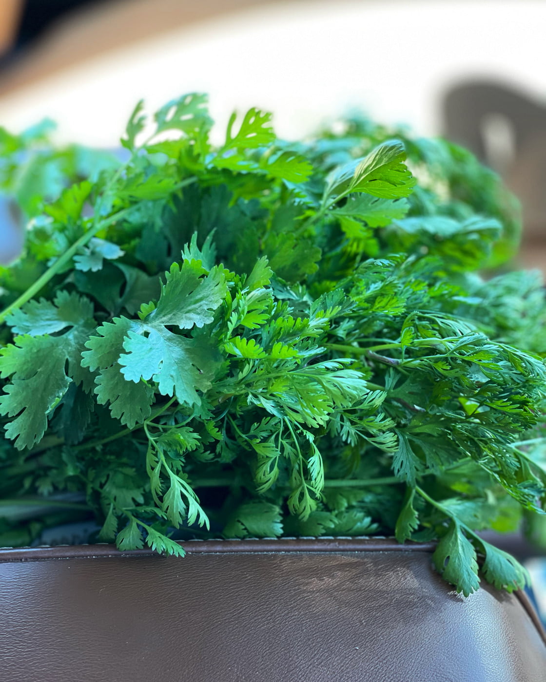 Herbs turn broth into stew its true!